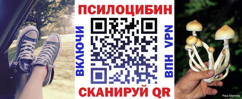 Купить где  Рудня  Псилоцибиновые грибы ЛСД 